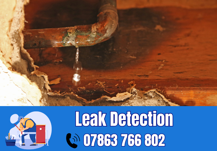 leak detection Winwick